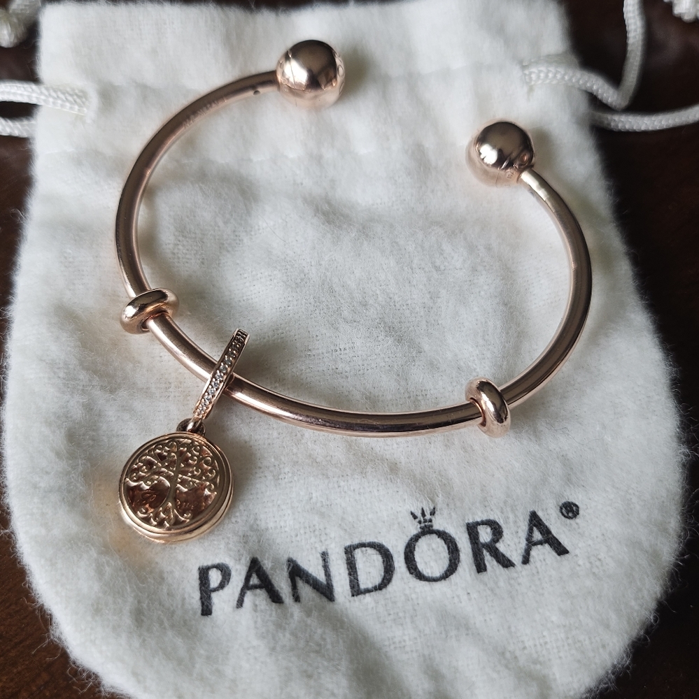 Pandora Bracelet